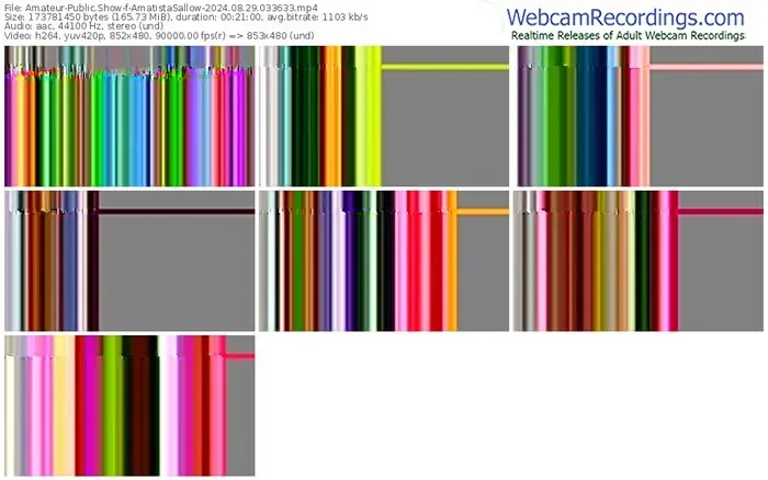 2024/08/29/amateur-amatistasallow-03-36-33