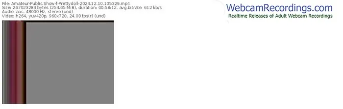 2024/12/10/amateur-prettydoll-10-53-29