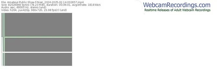 2025/02/14/amateur-nian_2024-00-26-57