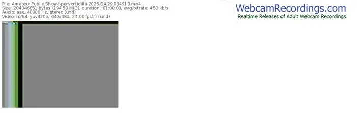 2025/04/29/amateur-pervertidilla-08-49-13