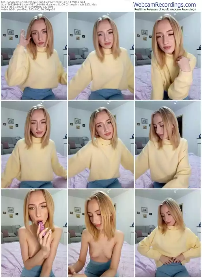 2022/12/13/bongacams-cuddliesprett-17-58-09