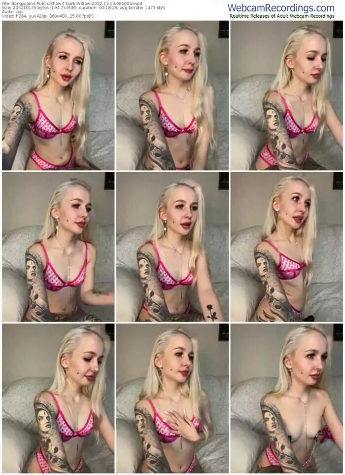 2022/12/14/bongacams-dark-willow-08-16-06