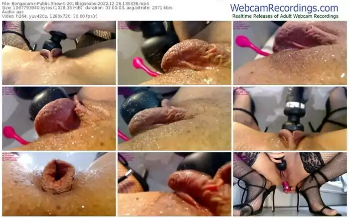 2022/12/26/bongacams-2019bigboobs-13-53-38