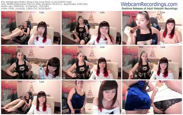 2022/12/30/bongacams-fox-lisa-02-25-01