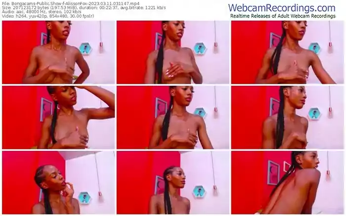 2023/03/11/bongacams-alissonfox-03-11-47