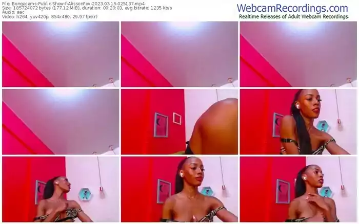 2023/03/15/bongacams-alissonfox-02-51-37