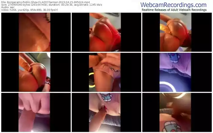 2023/04/15/bongacams-ladycharmer-09-50-24
