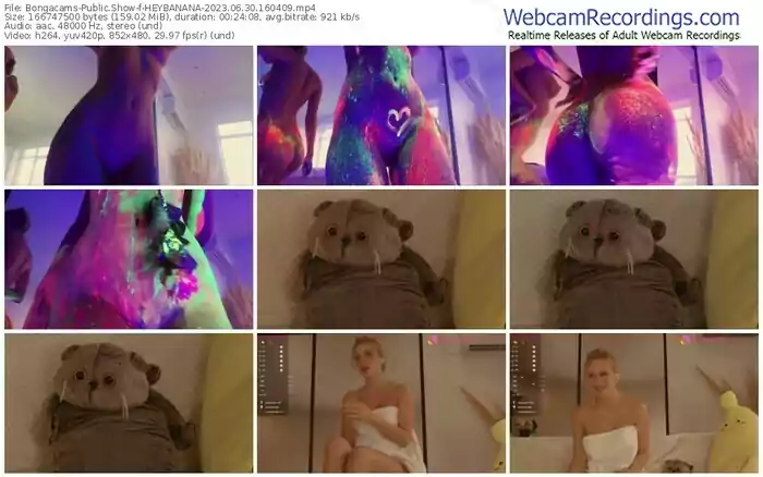 2023/06/30/bongacams-heybanana-16-04-09