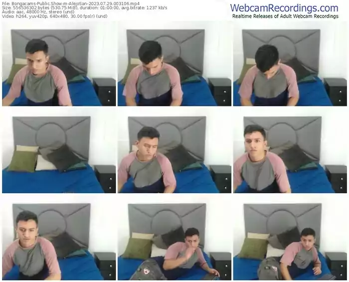 2023/07/29/bongacams-alejosan-00-31-06