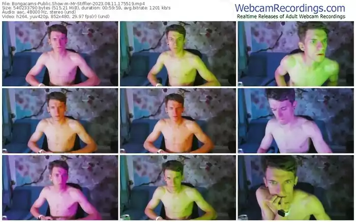 2023/08/11/bongacams-mr-stiffler-17-55-19