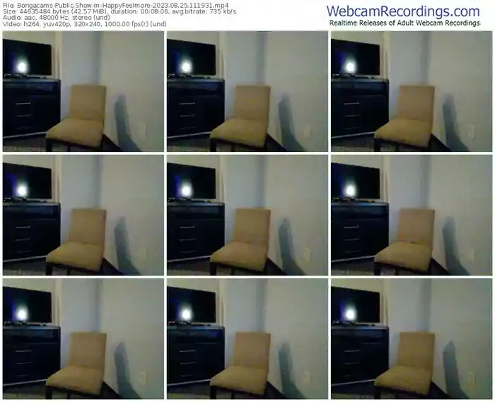 2023/08/25/bongacams-happyfeelmore-11-19-31