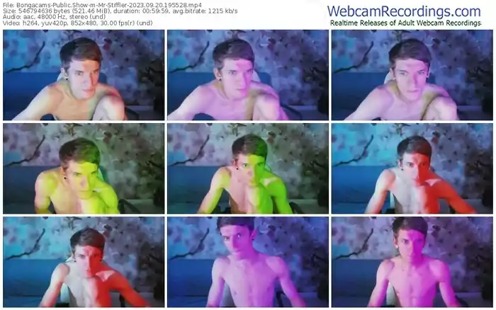 2023/09/20/bongacams-mr-stiffler-19-55-28