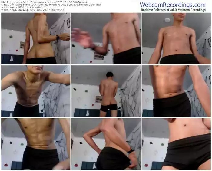 2023/10/19/bongacams-alanprince-13-50-54