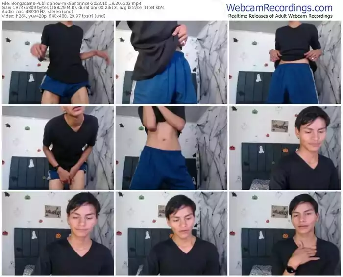 2023/10/19/bongacams-alanprince-20-55-03