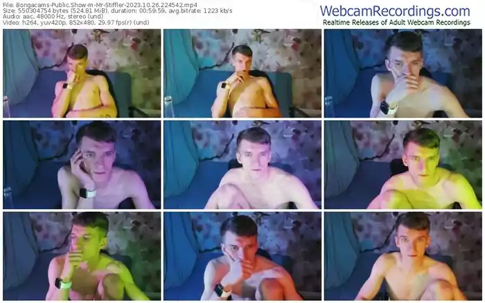 2023/10/26/bongacams-mr-stiffler-22-45-42