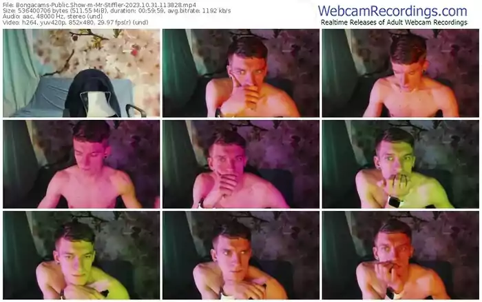 2023/10/31/bongacams-mr-stiffler-11-38-28