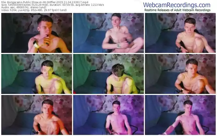 2023/11/04/bongacams-mr-stiffler-19-26-17