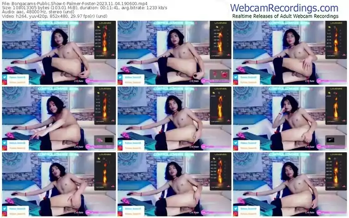 2023/11/04/bongacams-palmer-foster-19-06-00