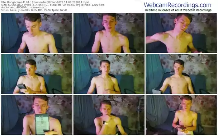 2023/11/07/bongacams-mr-stiffler-22-38-24