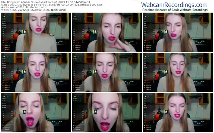 2023/11/08/bongacams-missfentasy1-04-40-03