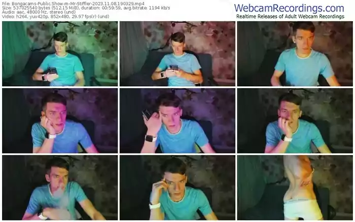 2023/11/08/bongacams-mr-stiffler-19-03-29