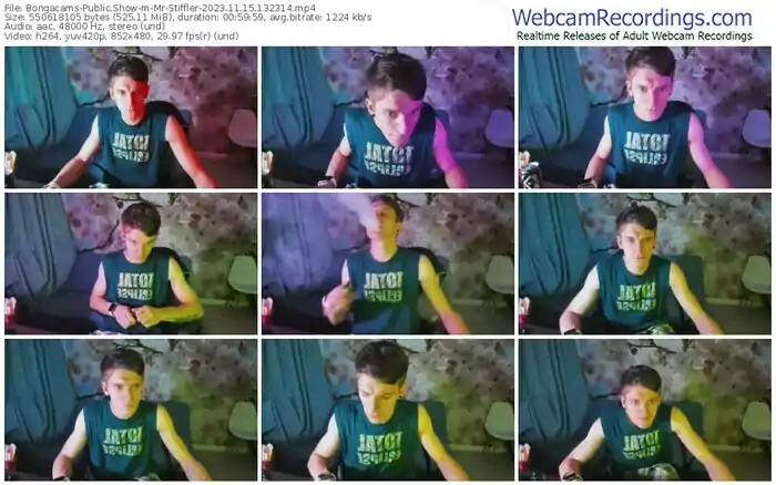 2023/11/15/bongacams-mr-stiffler-13-23-14