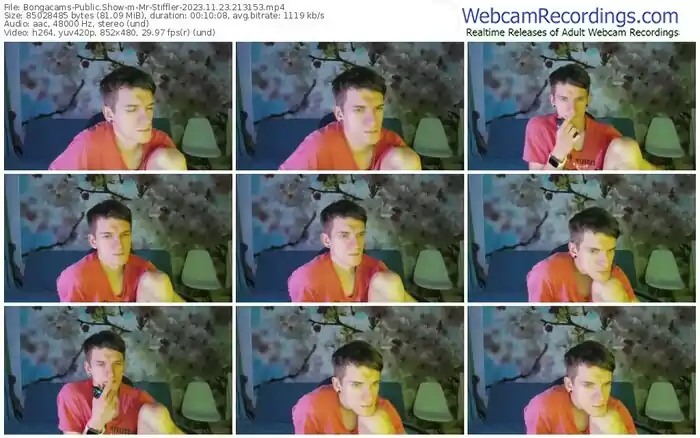 2023/11/23/bongacams-mr-stiffler-21-31-53