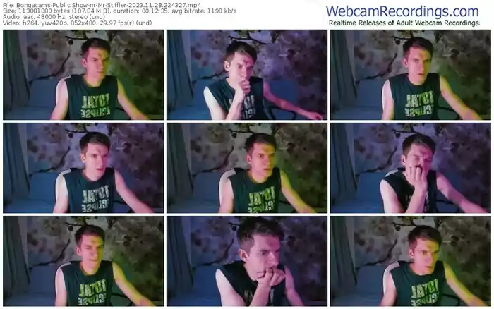2023/11/28/bongacams-mr-stiffler-22-43-27