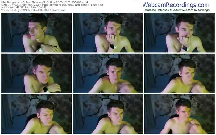 2023/12/01/bongacams-mr-stiffler-15-53-09