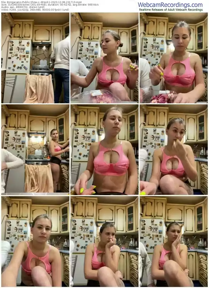 2023/12/08/bongacams--breid-1-23-17-13