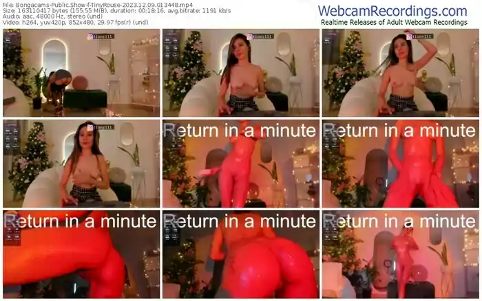 2023/12/09/bongacams-tinyrouse-01-34-48