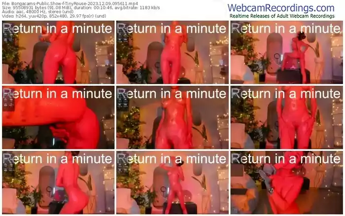 2023/12/09/bongacams-tinyrouse-09-56-11