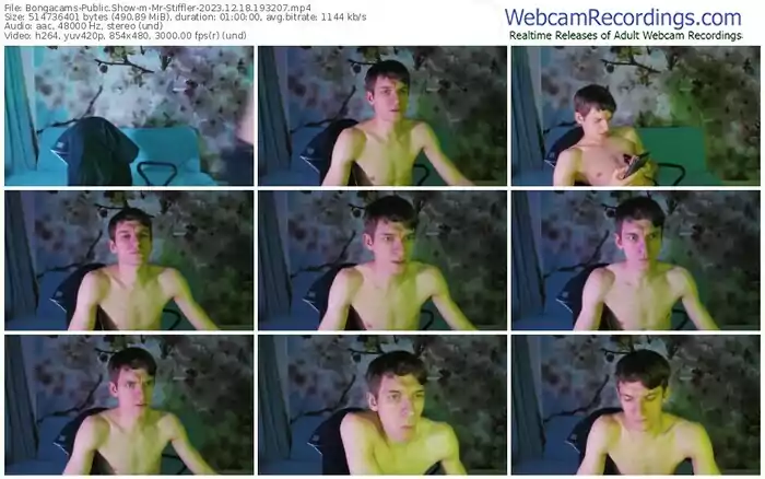 2023/12/18/bongacams-mr-stiffler-19-32-07