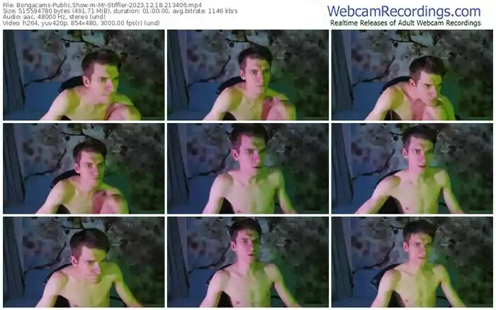 2023/12/18/bongacams-mr-stiffler-21-34-06