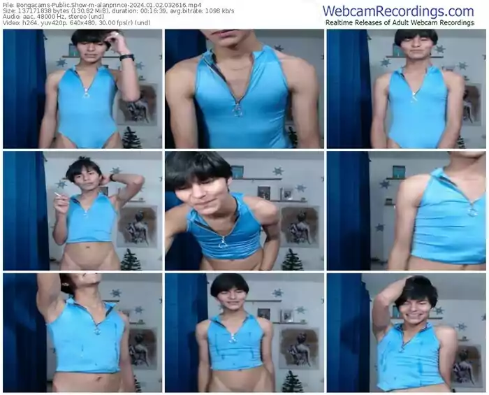 2024/01/02/bongacams-alanprince-03-26-16