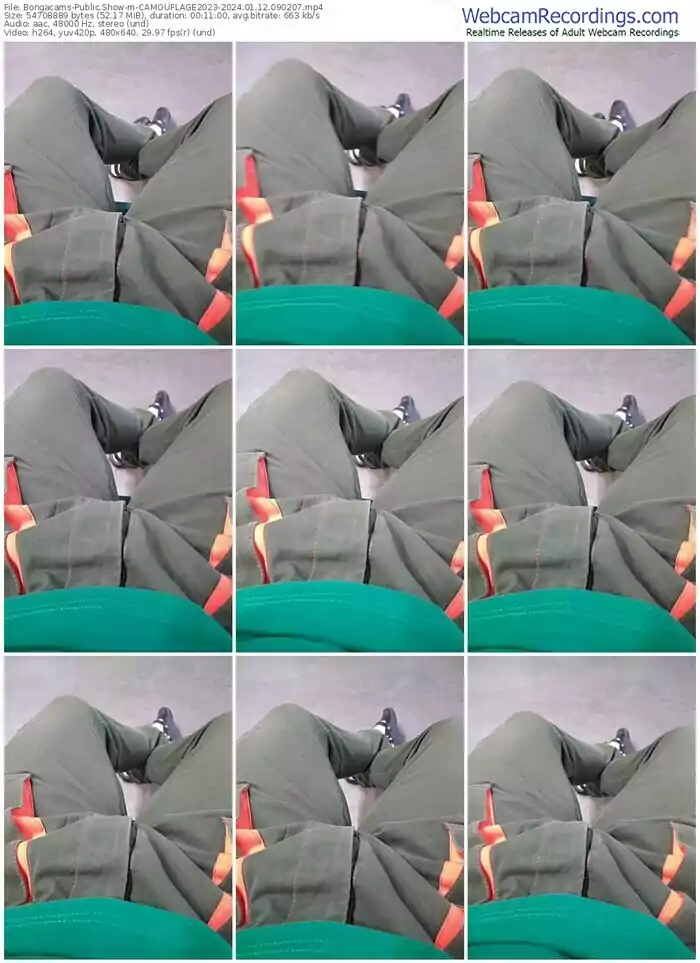 2024/01/12/bongacams-camouflage2023-09-02-07