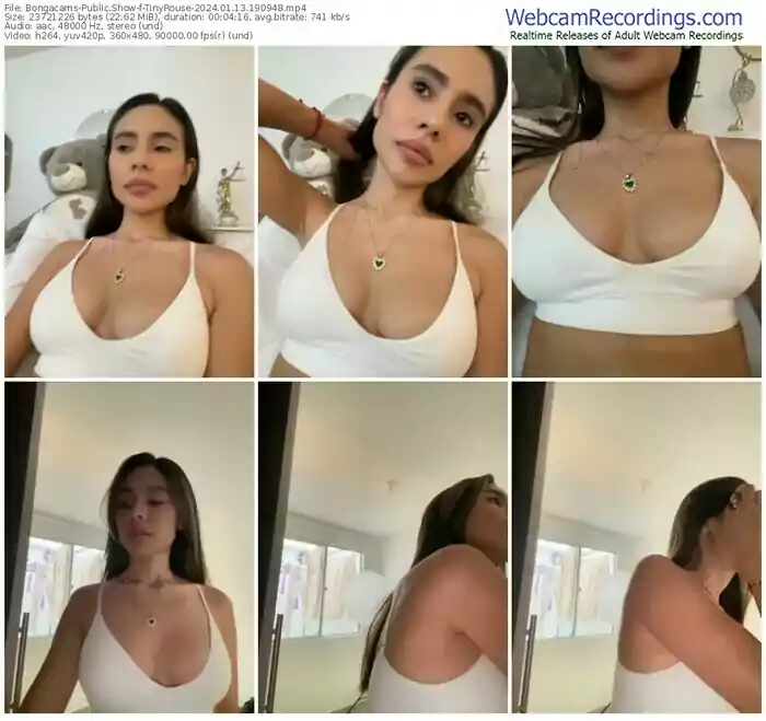 2024/01/13/bongacams-tinyrouse-19-09-48
