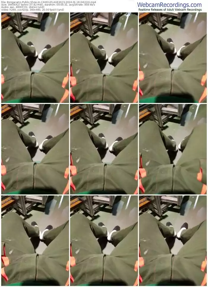 2024/01/18/bongacams-camouflage2023-04-16-16