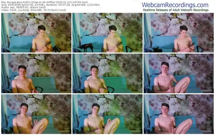 2024/01/23/bongacams-mr-stiffler-12-47-45