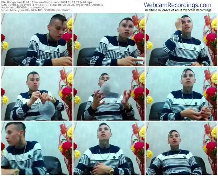 2024/01/29/bongacams-davidstivenx-21-24-28