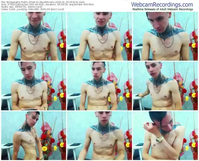 2024/01/30/bongacams-davidstivenx-06-31-41