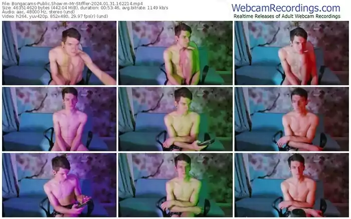 2024/01/31/bongacams-mr-stiffler-16-22-14