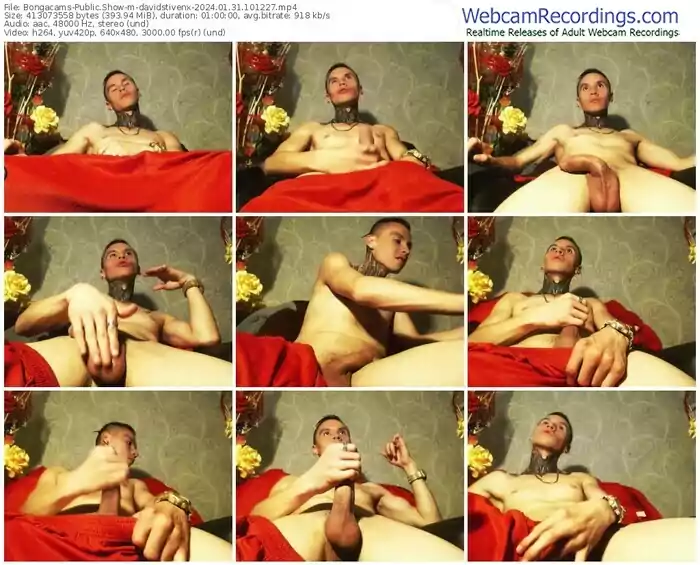 2024/01/31/bongacams-davidstivenx-10-12-27