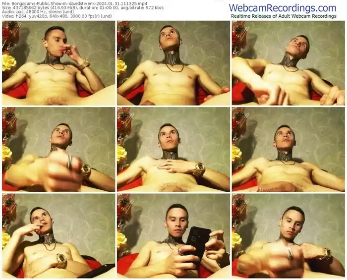 2024/01/31/bongacams-davidstivenx-11-13-25