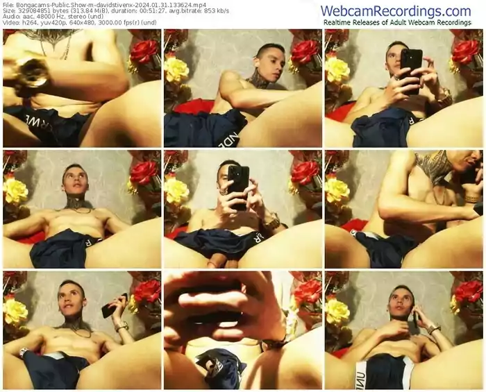 2024/01/31/bongacams-davidstivenx-13-36-24
