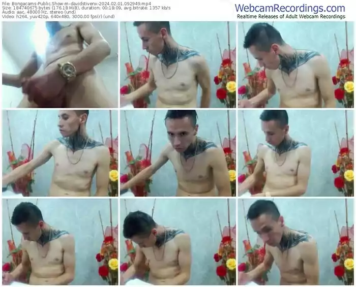2024/02/01/bongacams-davidstivenx-09-29-49