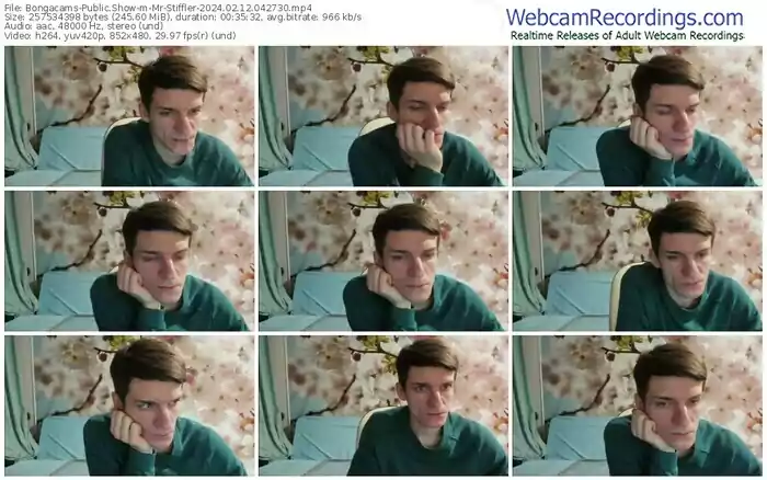 2024/02/12/bongacams-mr-stiffler-04-27-30