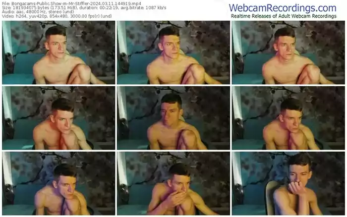 2024/03/11/bongacams-mr-stiffler-14-49-19