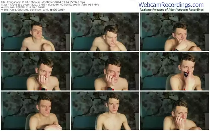 2024/03/14/bongacams-mr-stiffler-15-53-42