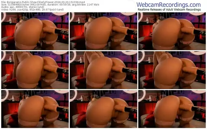 2024/03/20/bongacams-earlyflower-15-13-36